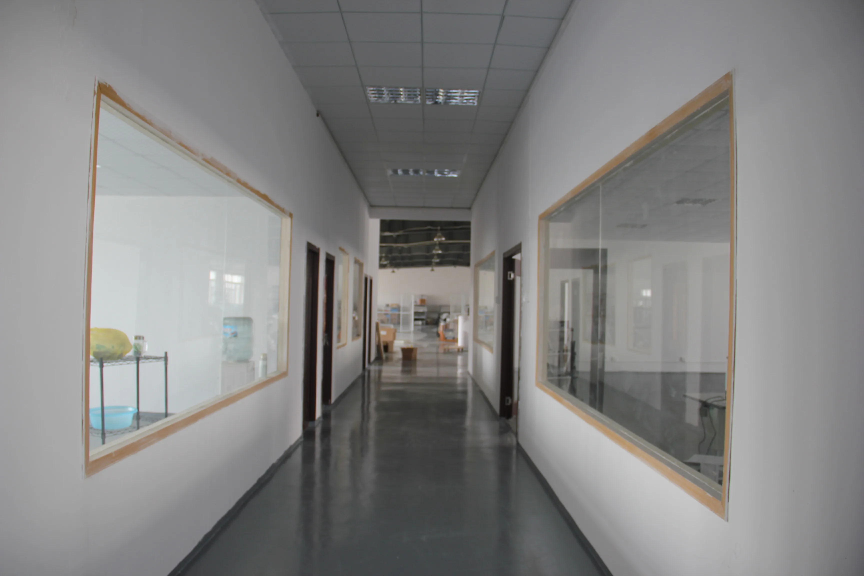 Tomografía de Coherencia Óptic - Medical Lab Images reseña y precio