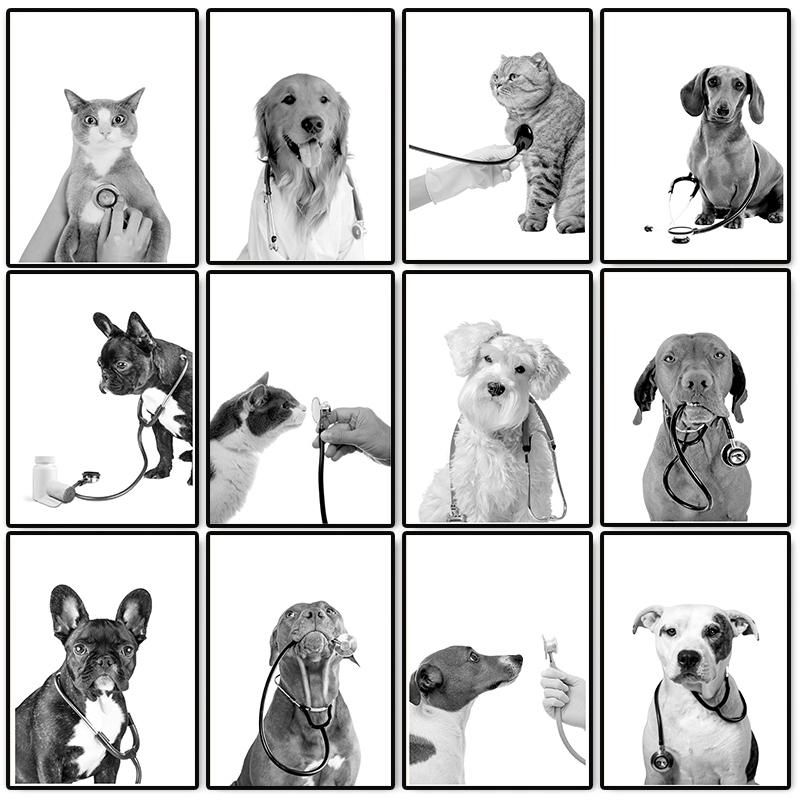 Póster de Veterinaria con Perr - Stethoscope reseña y precio