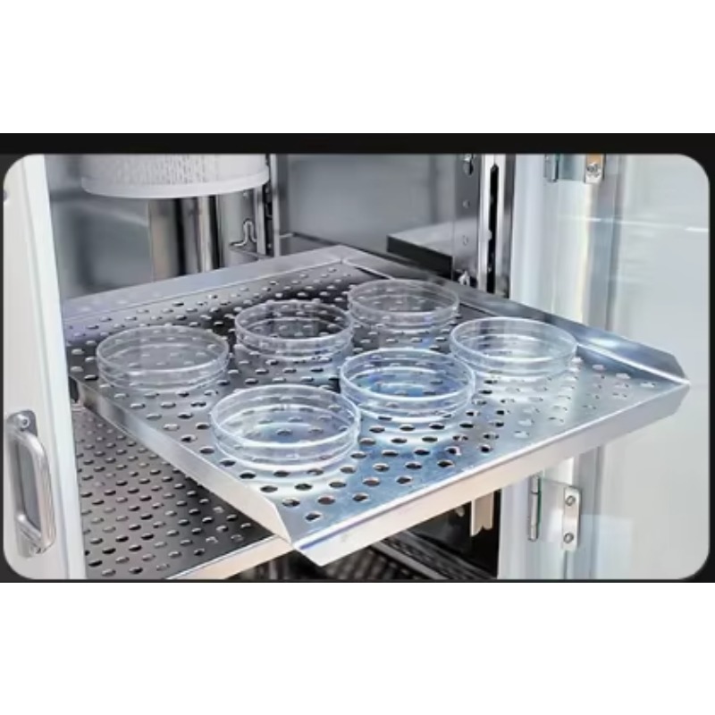 Incubadora de CO2 con chaqueta - Lab Incubator reseña y precio